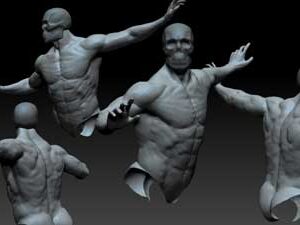 Anatomía y Pose con Zbrush
