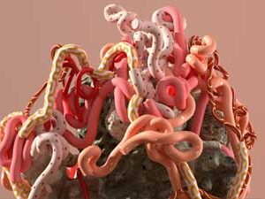 Motion Graphics con Cinema 4D