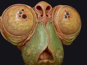 Texturas Avanzadas con Substance Painter